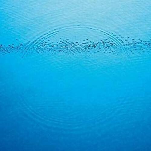 Caribou - Suddenly - LEVITATION