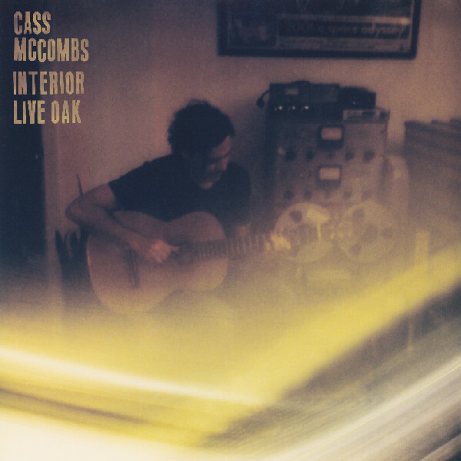 Cass McCombs - Interior Live Oak - LEVITATION