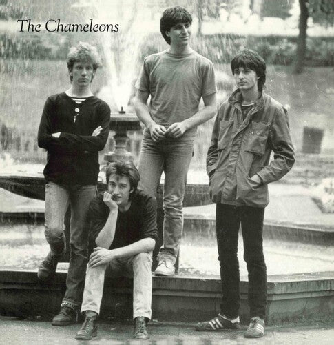 Chameleons - Tony Fletcher - LEVITATION