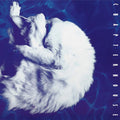 Chapterhouse - Whirlpool