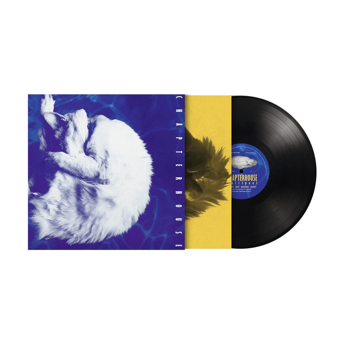 Chapterhouse - Whirlpool - LEVITATION