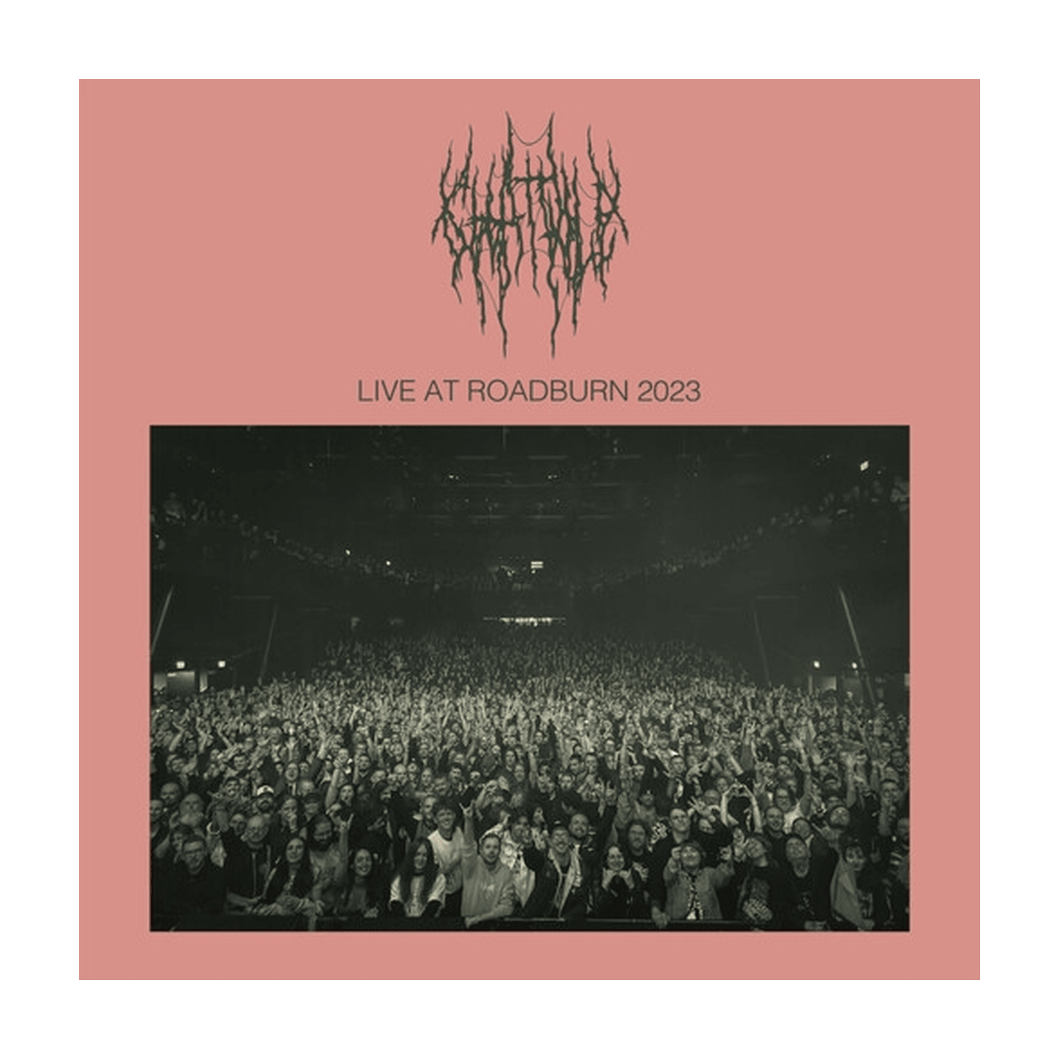Chat Pile - Live at Roadburn - LEVITATION