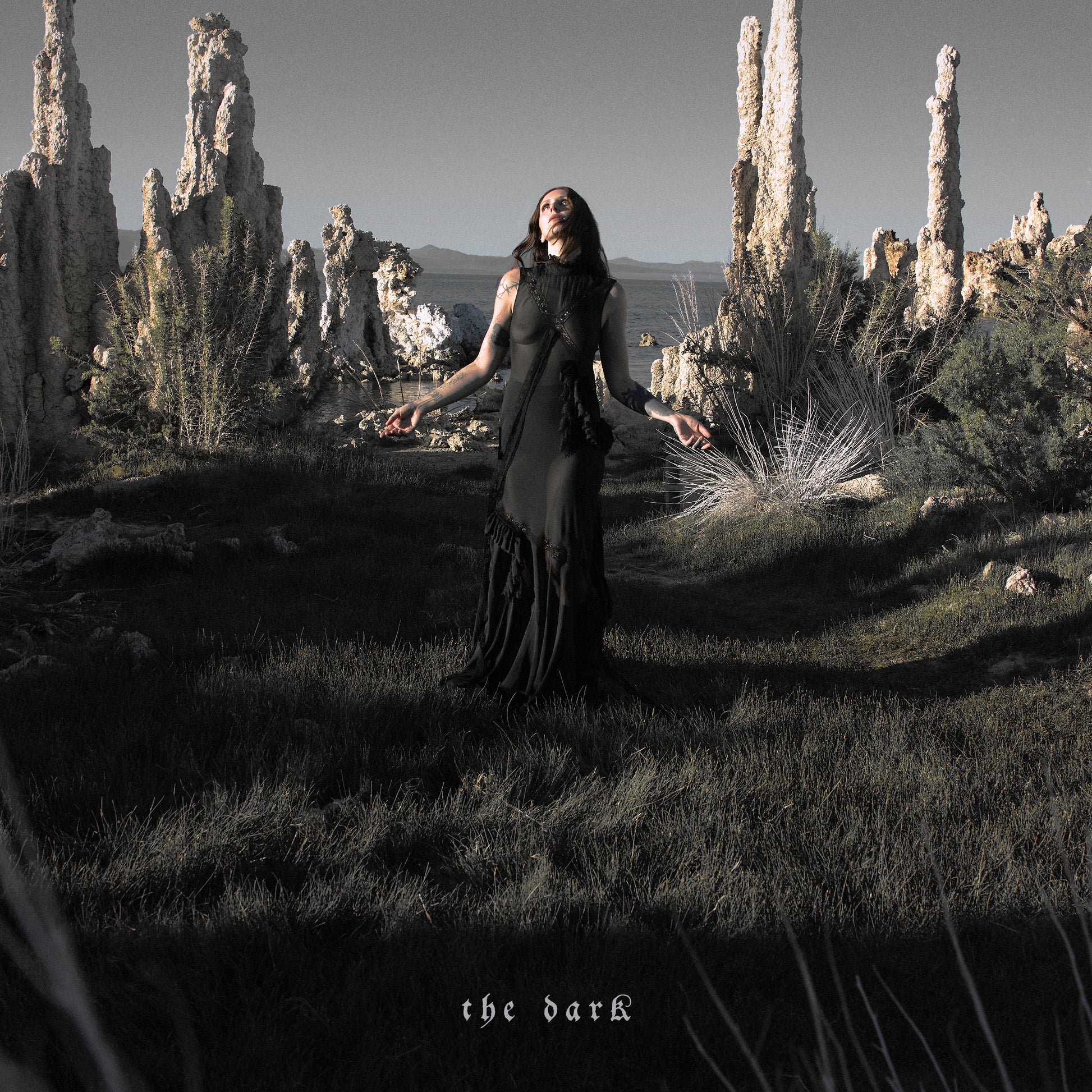 Chelsea Wolfe - The Dark Album cover art