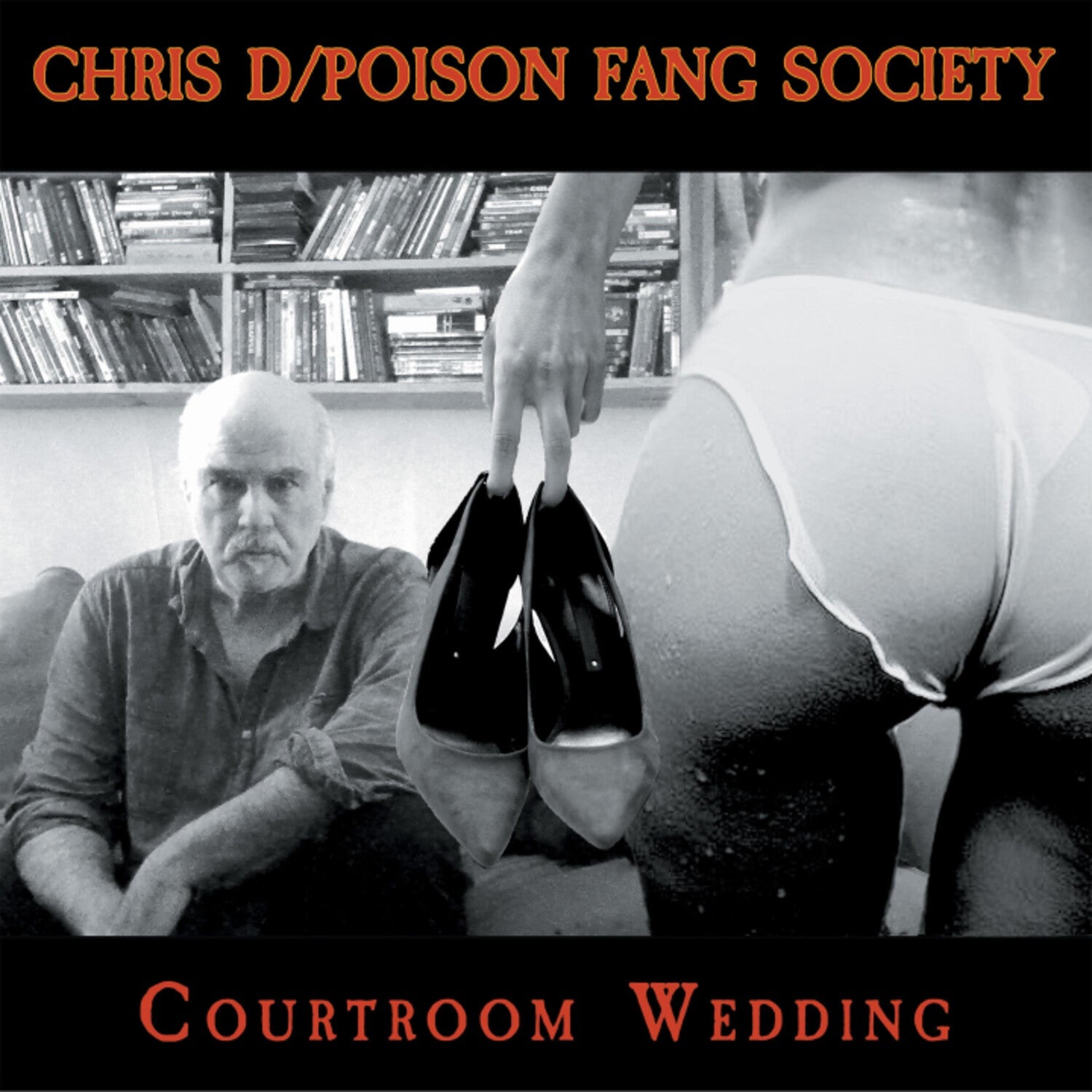 Chris D / Poison Fang Society - Courtroom Wedding - LEVITATION