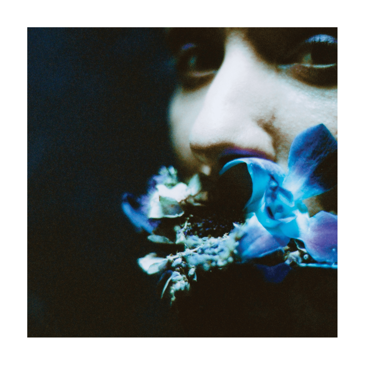 Circuit Des Yeux - Reaching for Indigo - LEVITATION