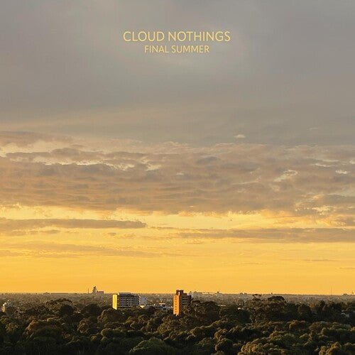 Cloud Nothings - Final Summer - LEVITATION