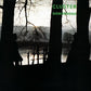 Cluster - Sowiesoso - LEVITATION