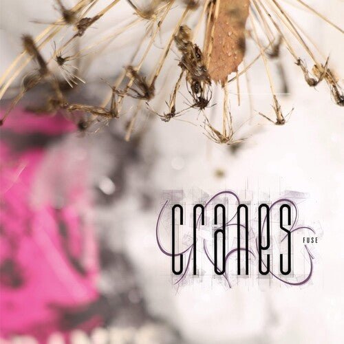 Cranes - Fuse [Variant] - LEVITATION