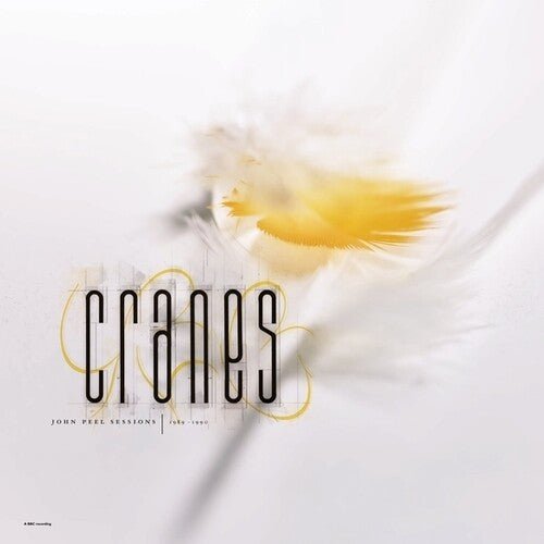 Cranes - John Peel Sessions (1989 - 1990) - LEVITATION