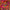 Cream - Disraeli Gears (Cd) - LEVITATION