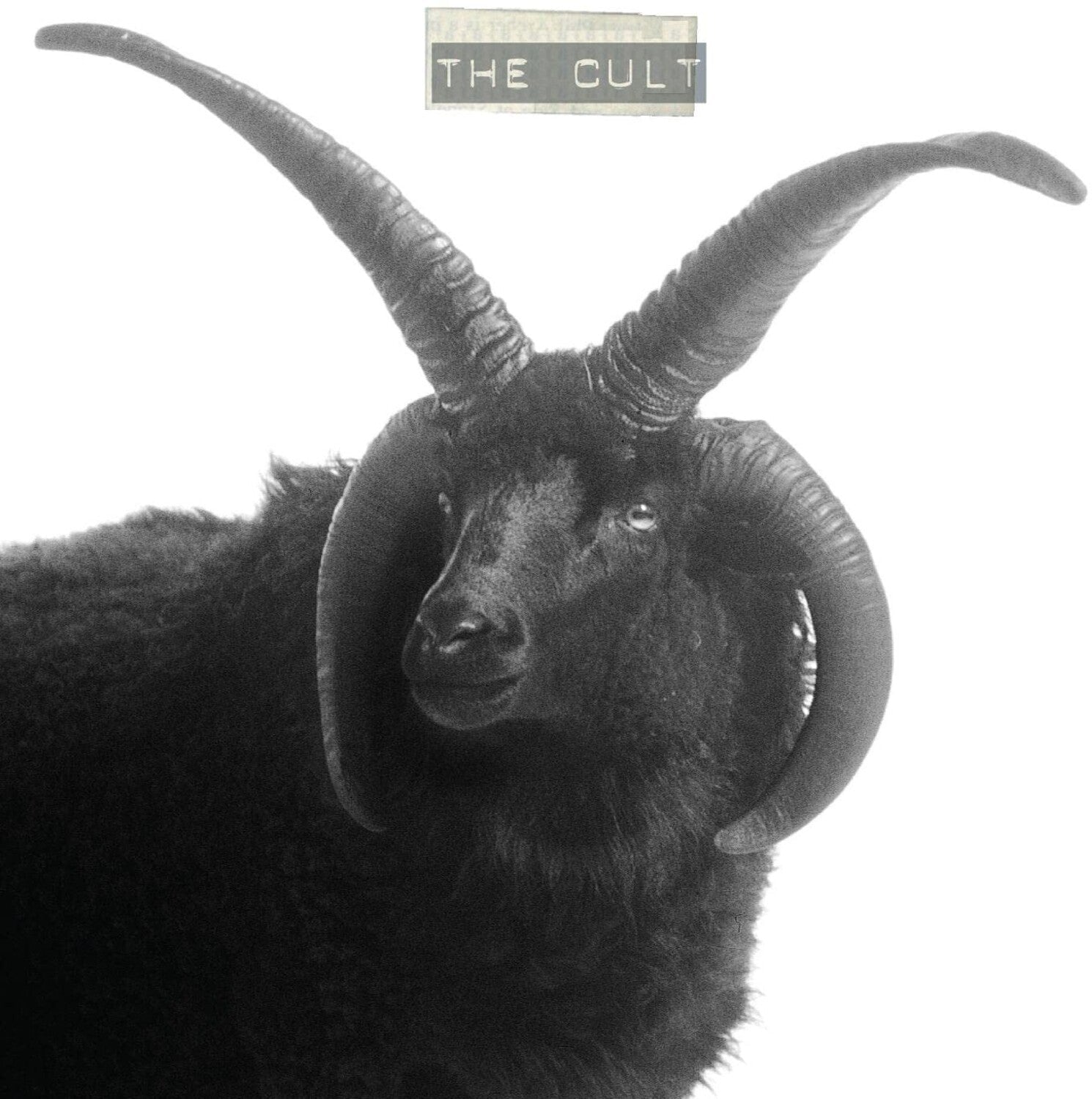 Cult - The Cult 2xLP - LEVITATION