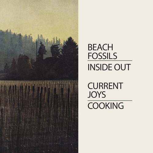 Current Joys / Beach Fossils - Cooking/inside Out - LEVITATION