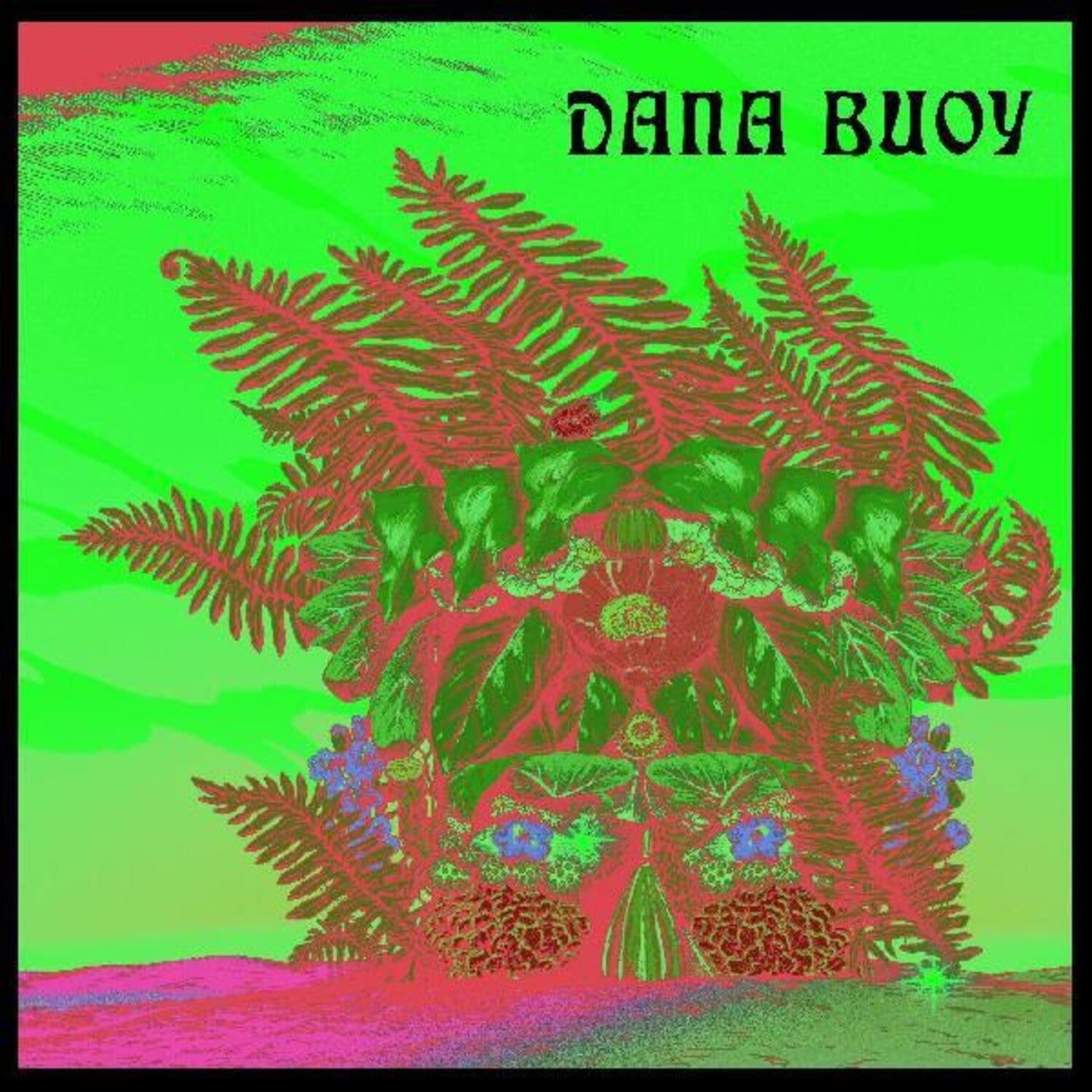 Dana Buoy - Experiments in Plant Based Music 1 - LEVITATION
