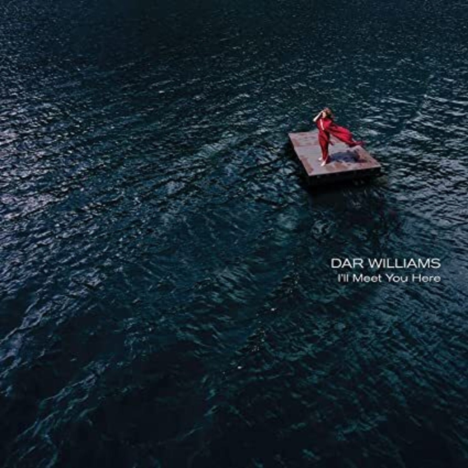 Dar Williams - I'll Meet You Here - LEVITATION