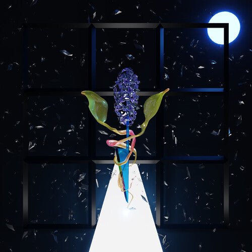 Darian Donovan Thomas - Room with Many Doors : Night - LEVITATION