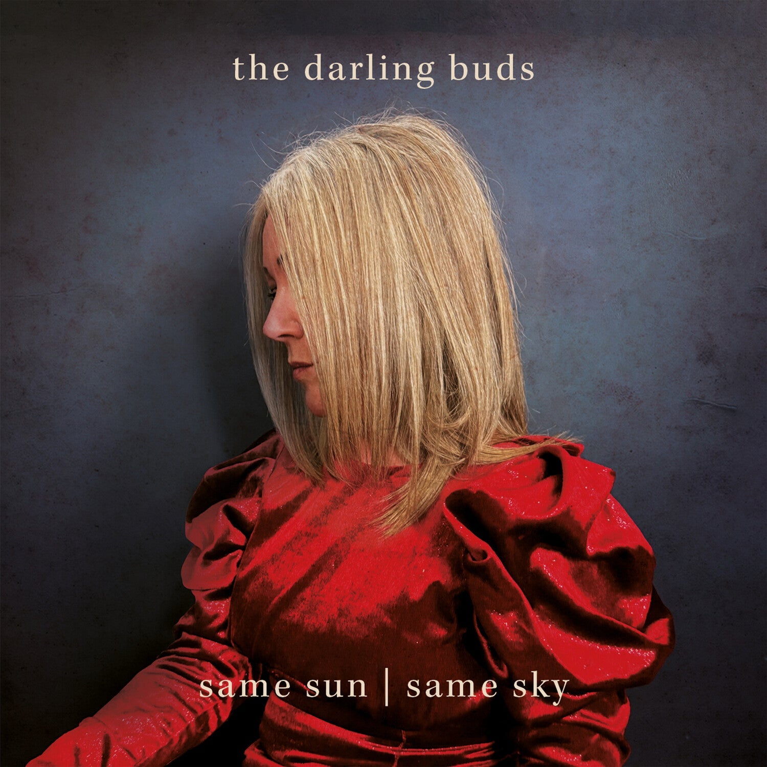 Darling Buds - Same Sun/same Sky - LEVITATION