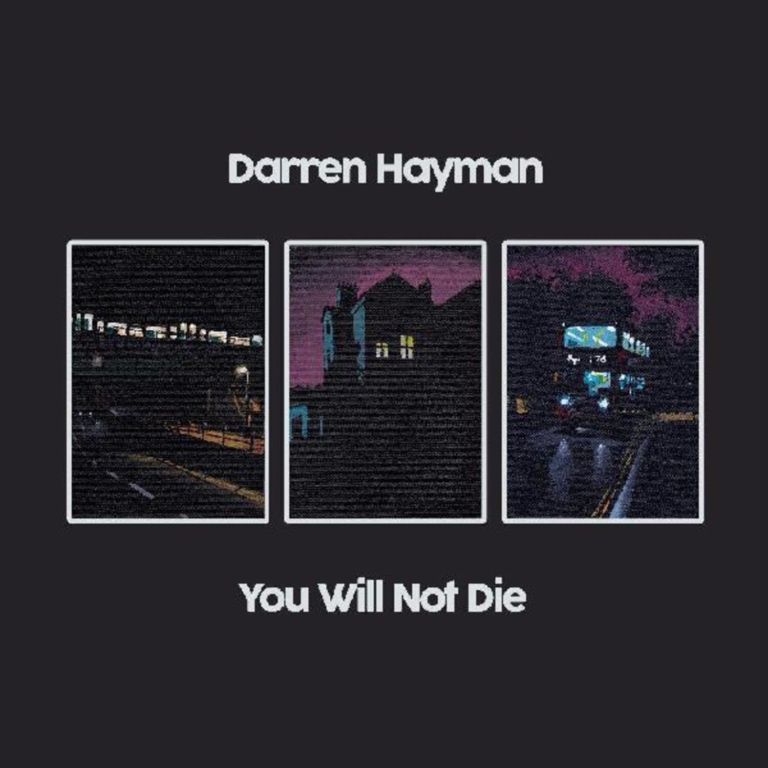 Darren Hayman - You Will Not Die 2xLP - LEVITATION