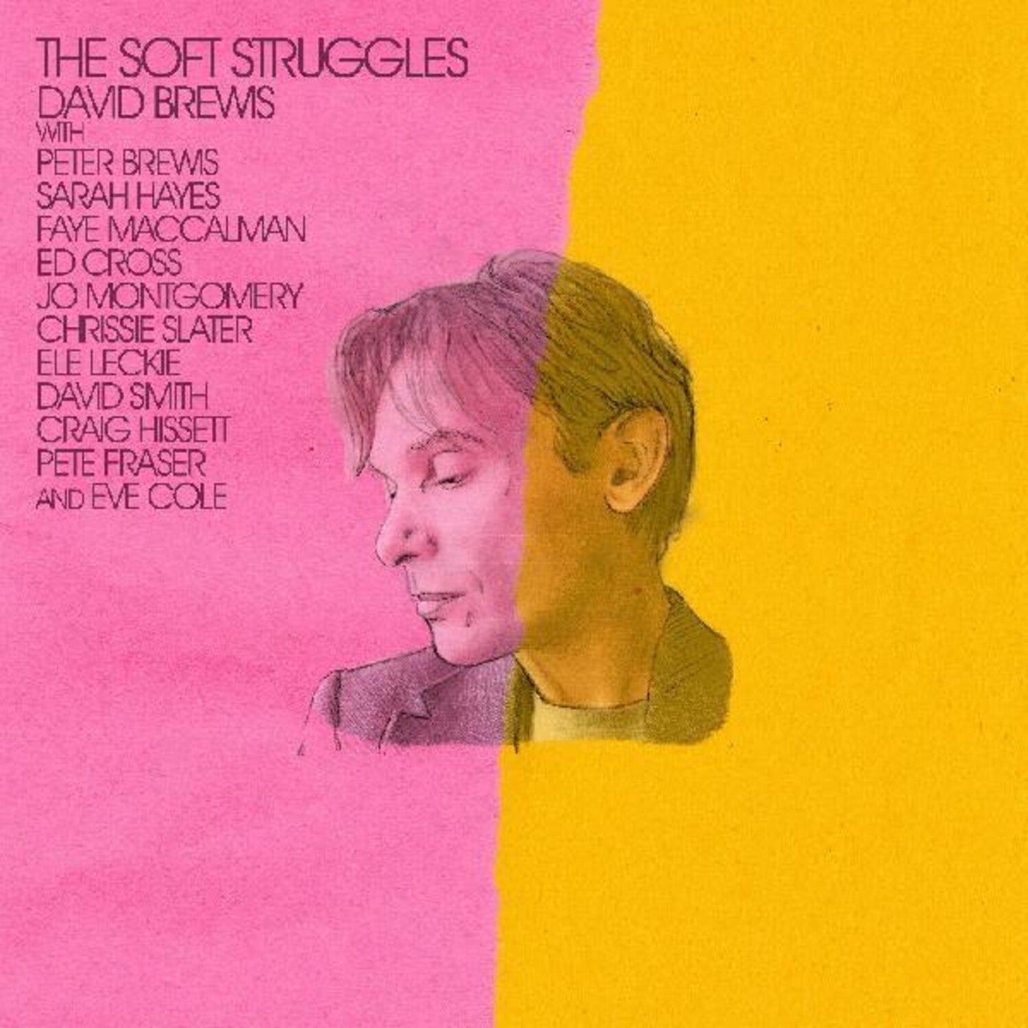 David Brewis - The Soft Struggles - LEVITATION