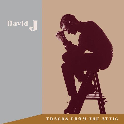 David J - Tracks from the Attic - LEVITATION