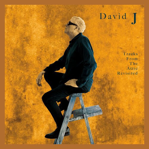 David J - Tracks from the Attic Revisited - LEVITATION
