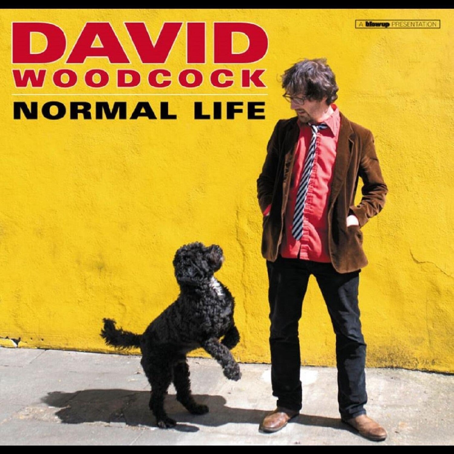 David Woodcock - Normal Life - LEVITATION