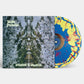 Dead Meadow - Voyager to Voyager (Levitation Edition) - LEVITATION