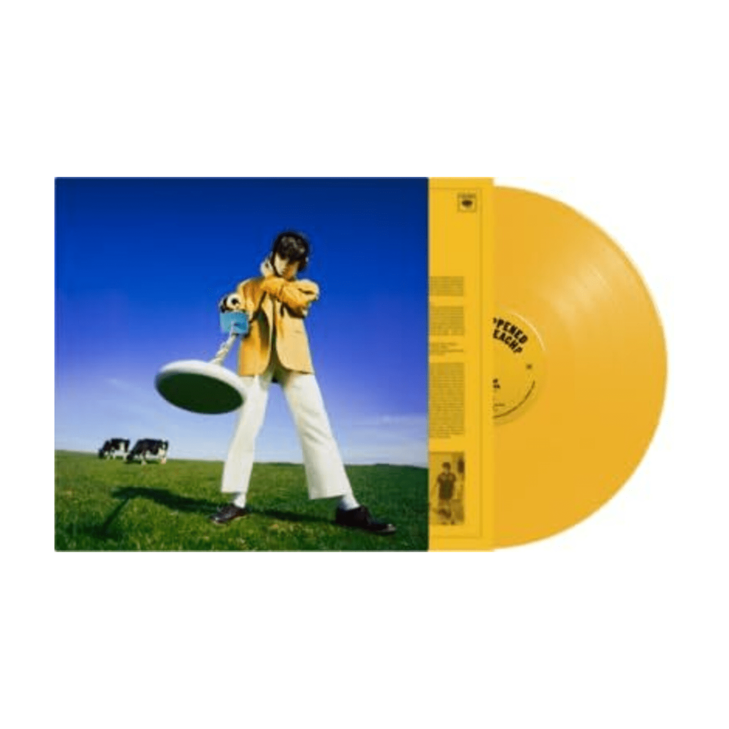 Declan McKenna - What Happened to the Beach (Yellow Vinyl) - LEVITATION