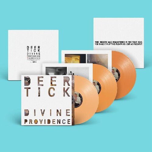 Deer Tick - Divine Providence - LEVITATION