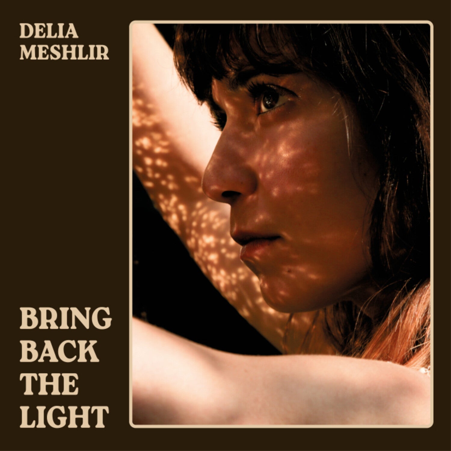 Delia Meshlir - Bring Back the Light - LEVITATION