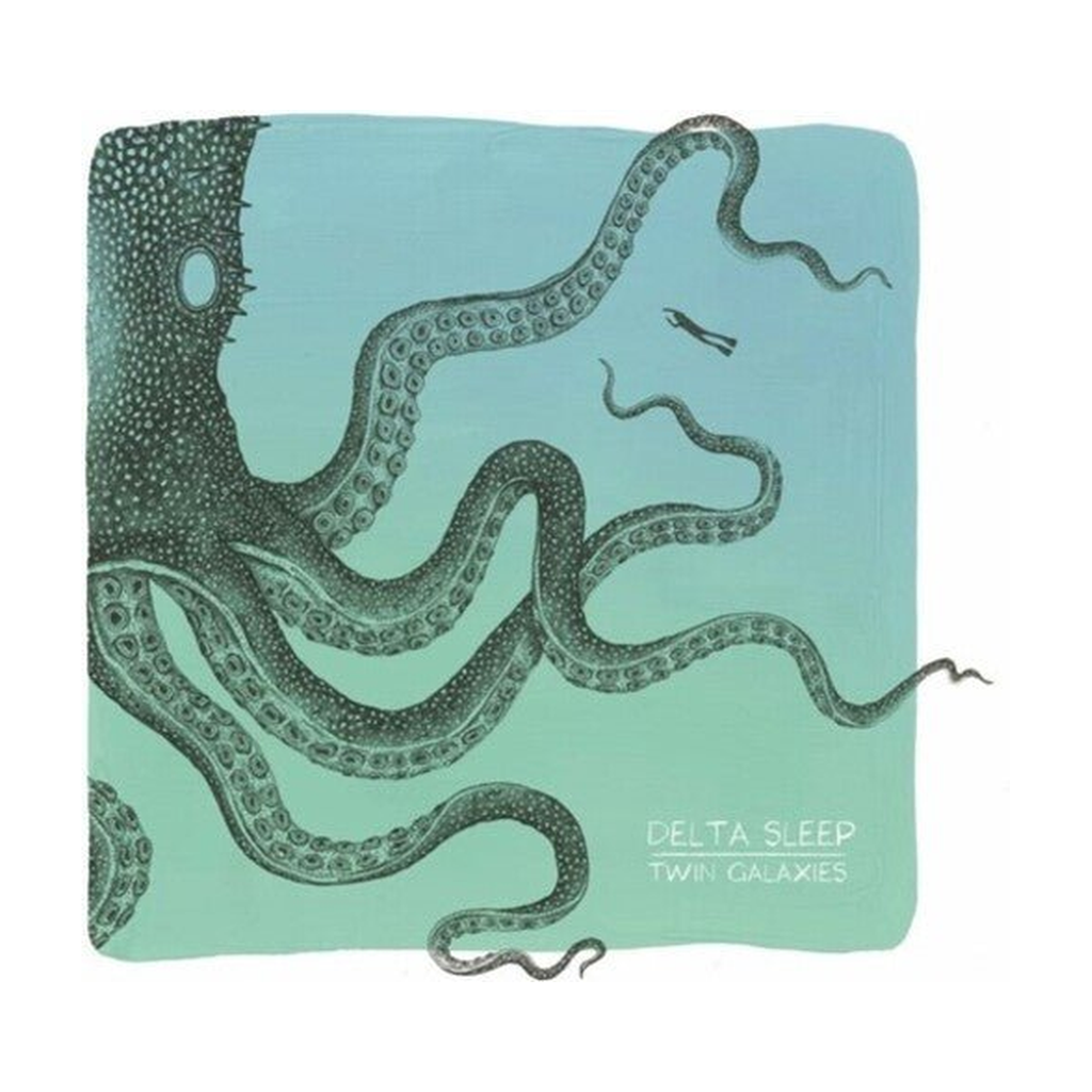 Delta Sleep - Twin Galaxies