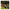 Devendra Banhart - Cripple Crow (Anniversary Deluxe) - Black/green - LEVITATION
