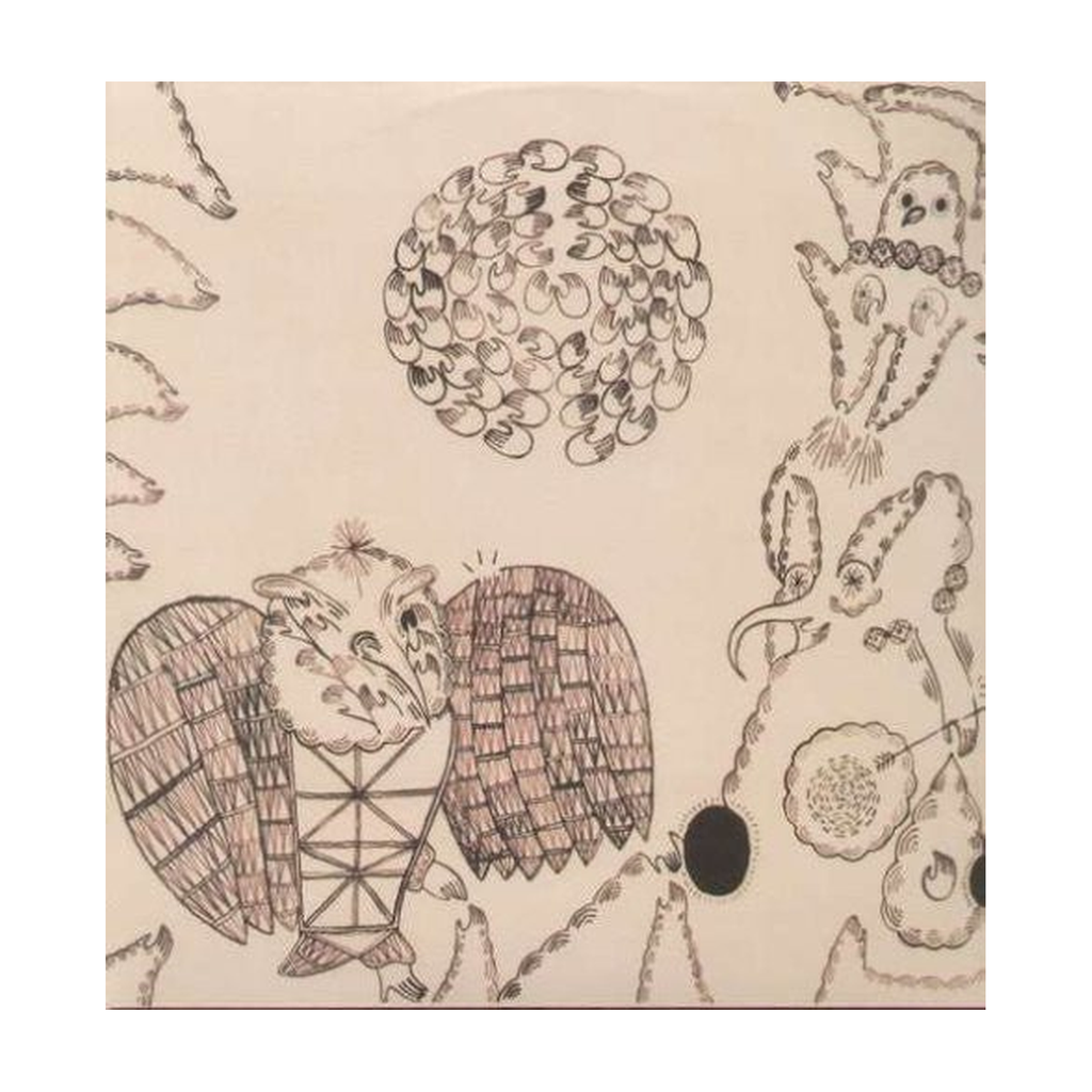 Devendra Banhart - Rejoicing in the Hands