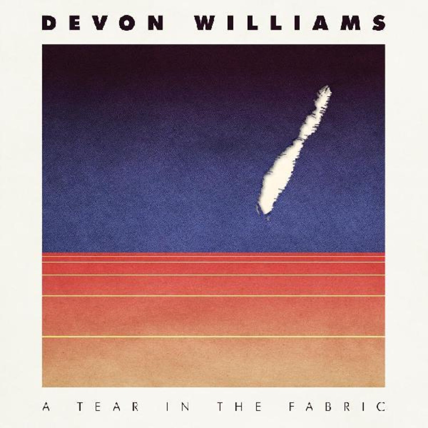 Devon Williams - Tear in the Fabric - LEVITATION