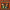 Dickies : All This & Puppet Stew (CD) - LEVITATION