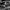 Dinosaur Jr - Beyond - Purple & Green - LEVITATION