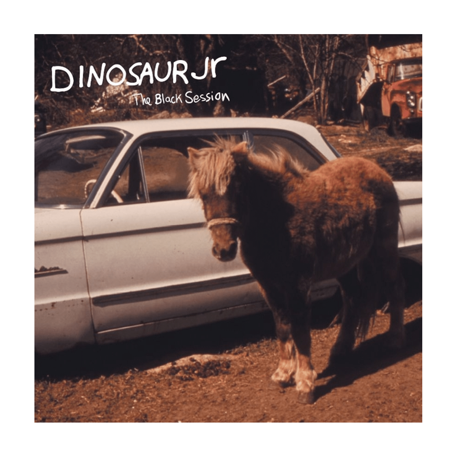 Dinosaur Jr. - Black Session: Live in Paris 1993 - LEVITATION