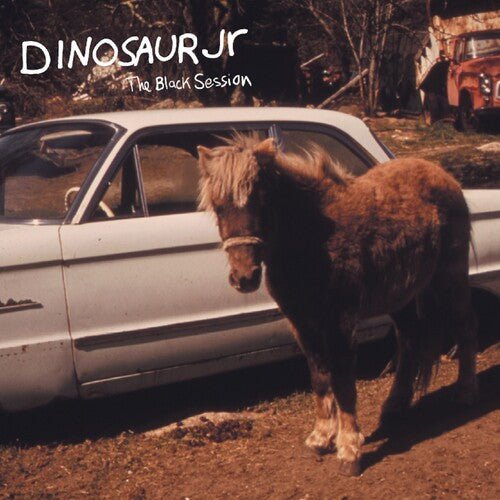 Dinosaur Jr. - Black Session: Live in Paris 1993 - LEVITATION