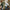 DJ Shadow - Endtroducing 2xLP - LEVITATION