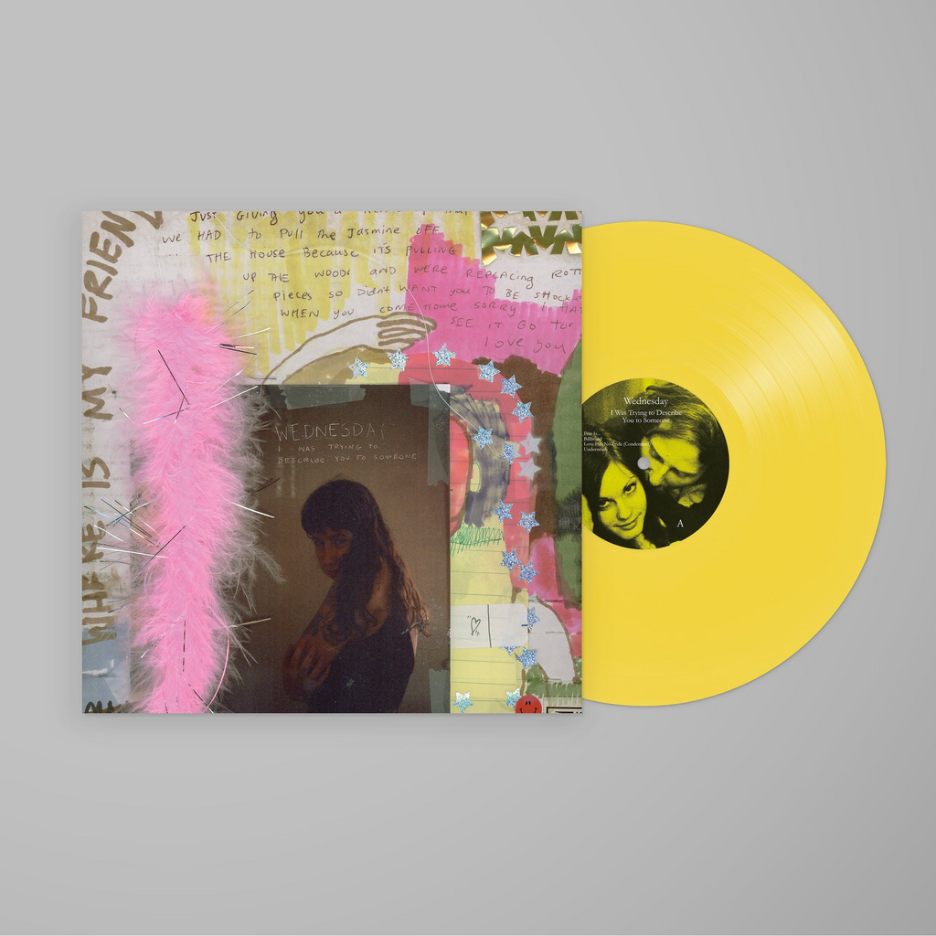 Wednesday - I Was Trying to Describe You to Someone (PRE-ORDER)