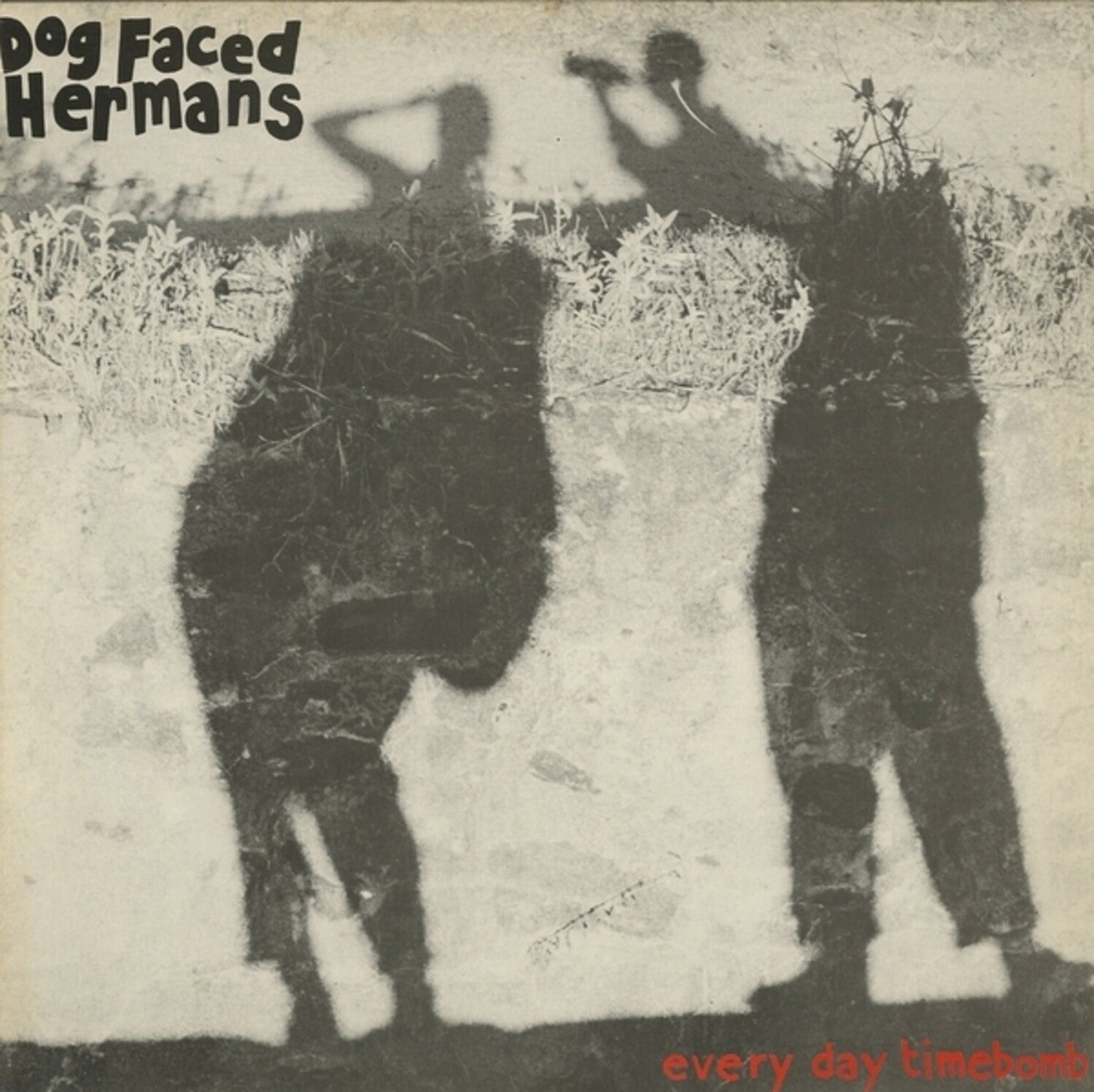 Dog Faced Hermans - Everyday Timebomb - LEVITATION