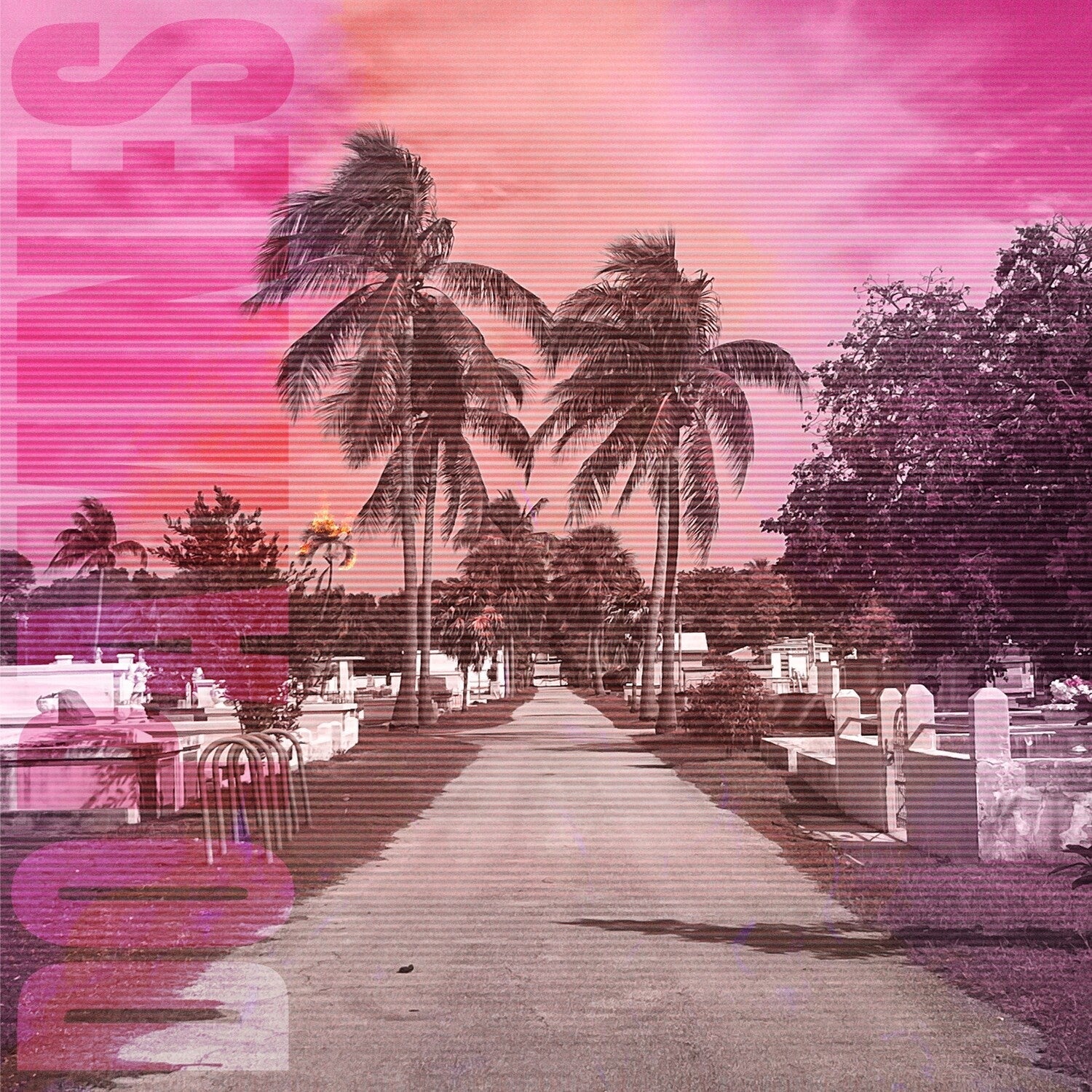 Dopamines - 80/20 - LEVITATION