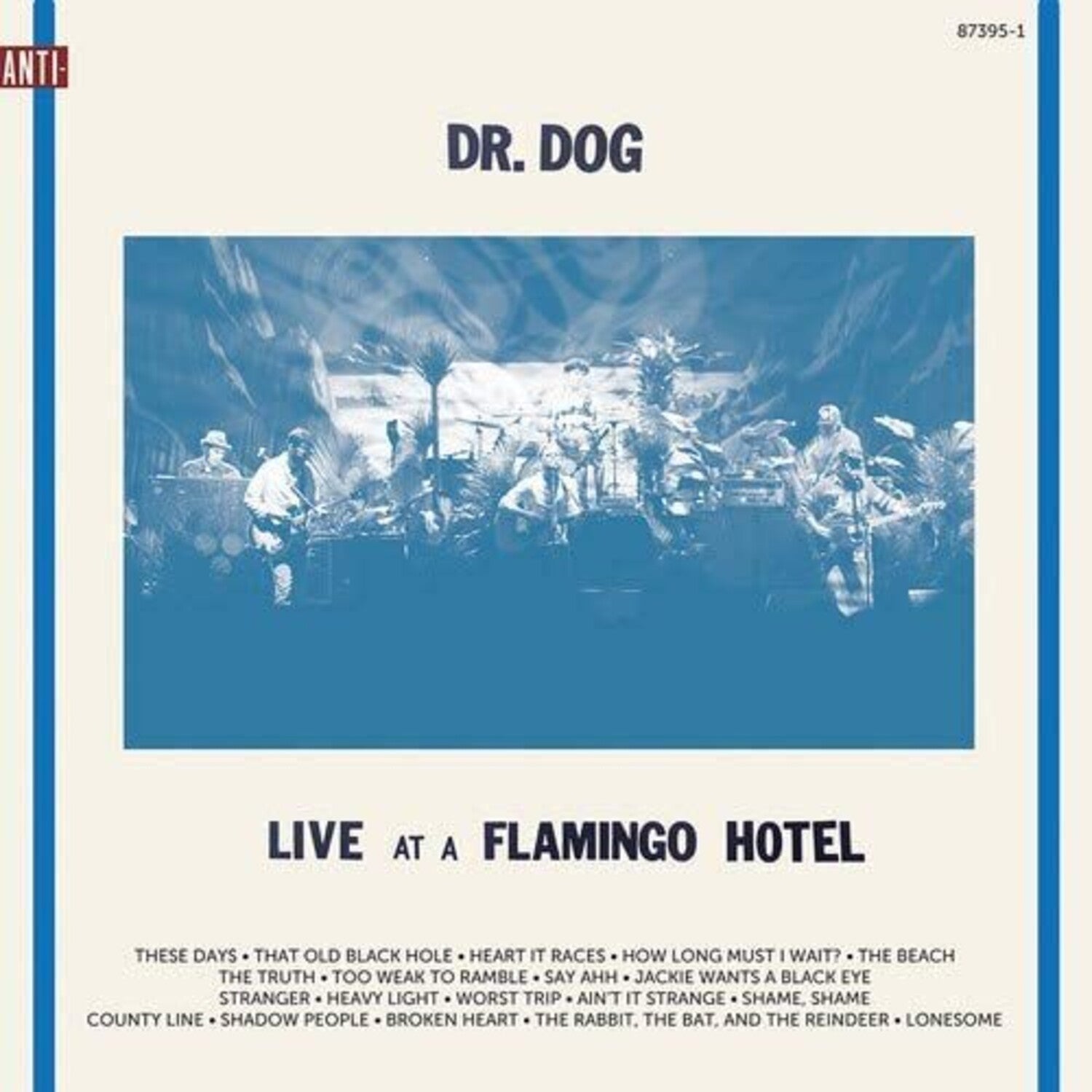 Dr Dog - Live at a Flamingo Hotel 2xLP - LEVITATION