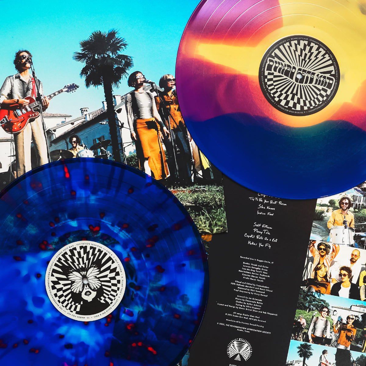 Dumbo Gets Mad - Levitation Sessions LP - LEVITATION