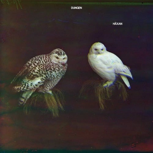 Dungen - Haxan (Cd) - LEVITATION