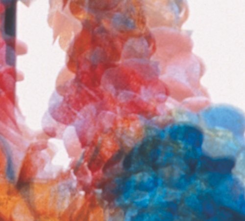 Dungen - Skit I Allt (Cd) - LEVITATION