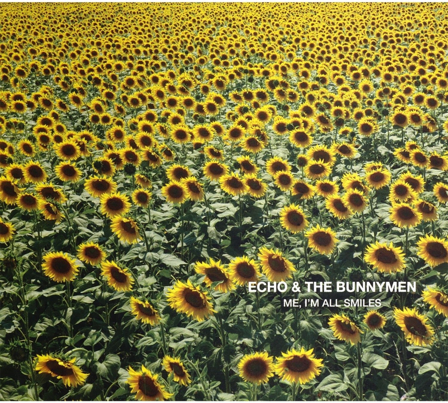 Echo & the Bunnymen - Me I'm All Smiles (CD) - LEVITATION