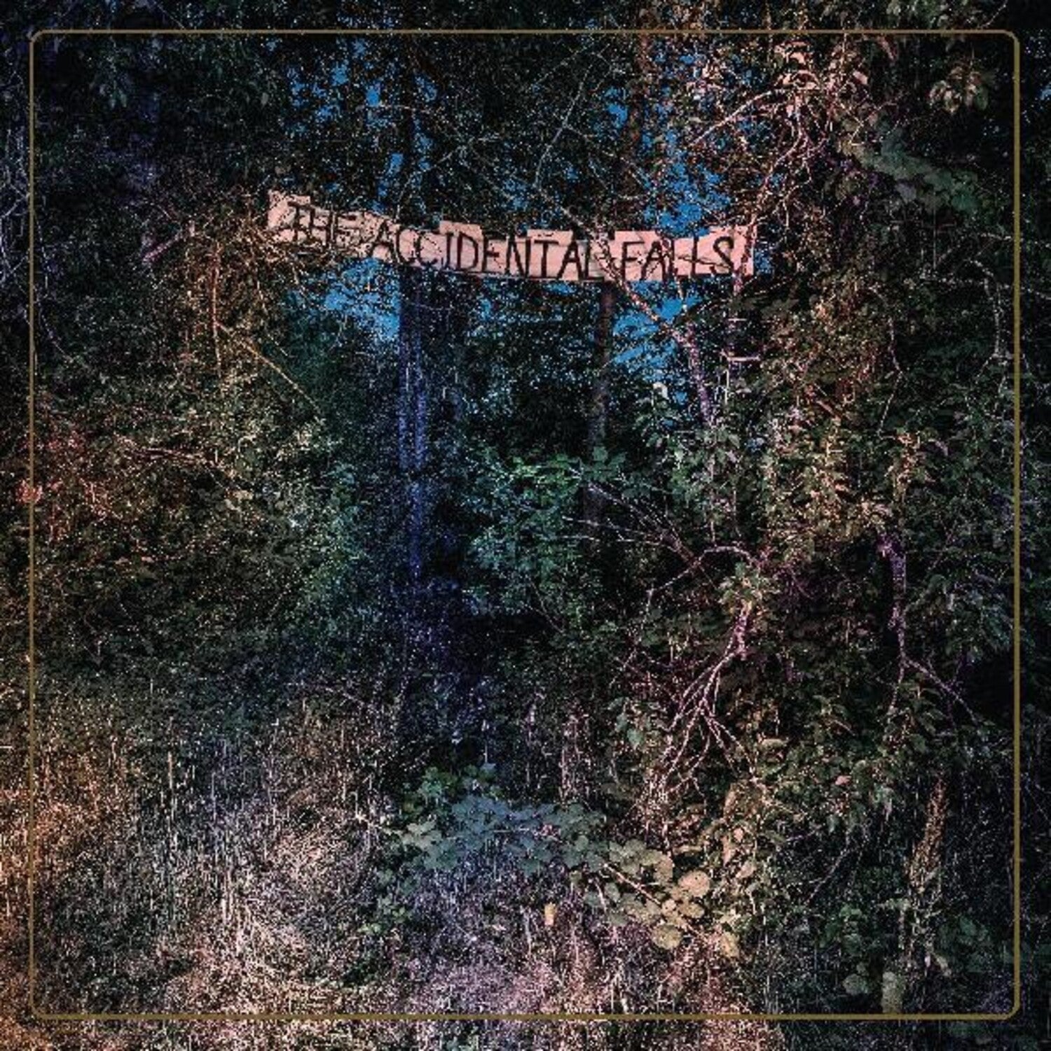 Eyelids - Accidental Falls - LEVITATION