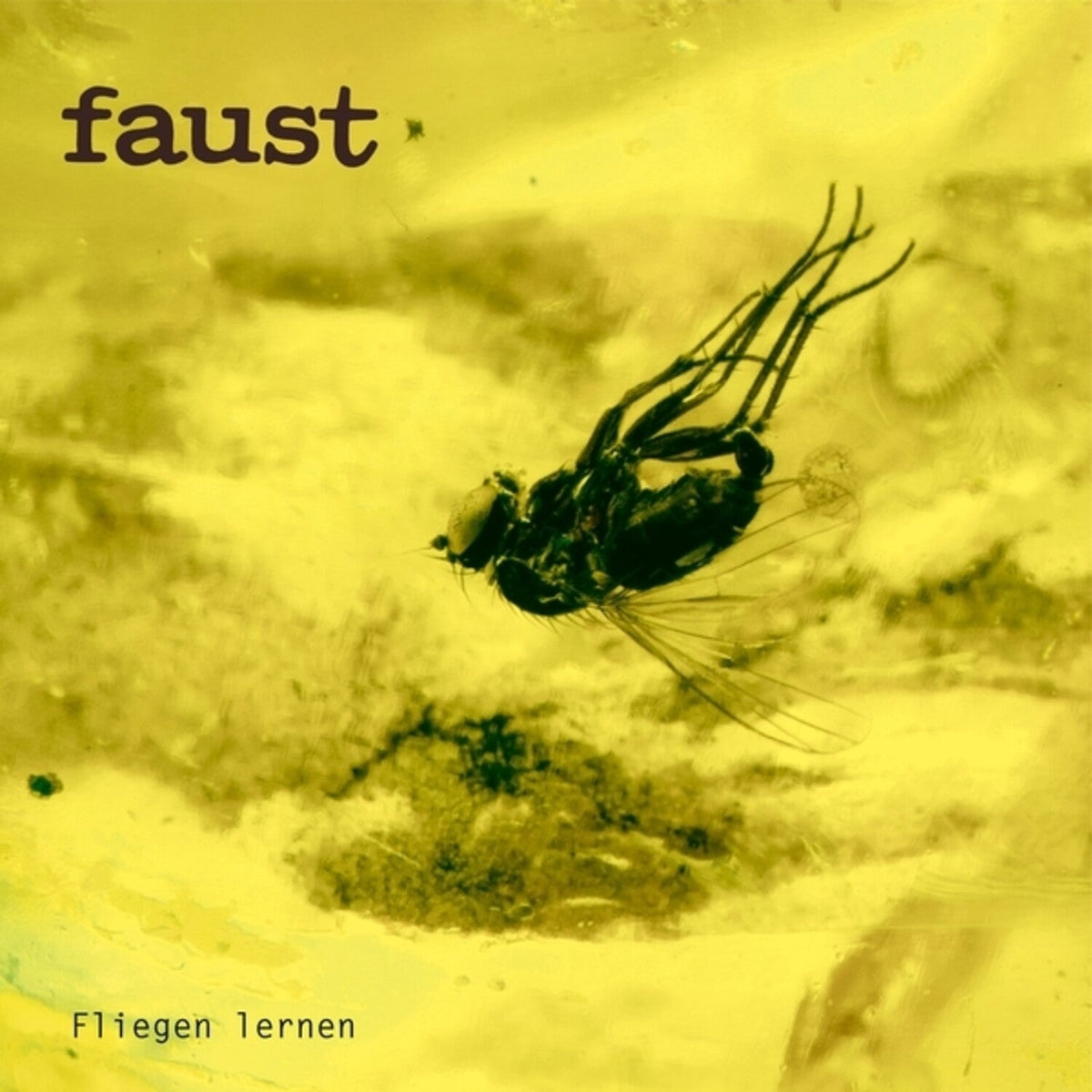 Faust - Fliegen Lernen - LEVITATION