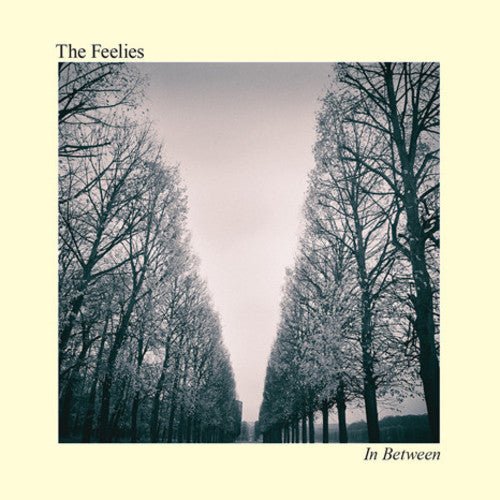 Feelies - In Between - LEVITATION