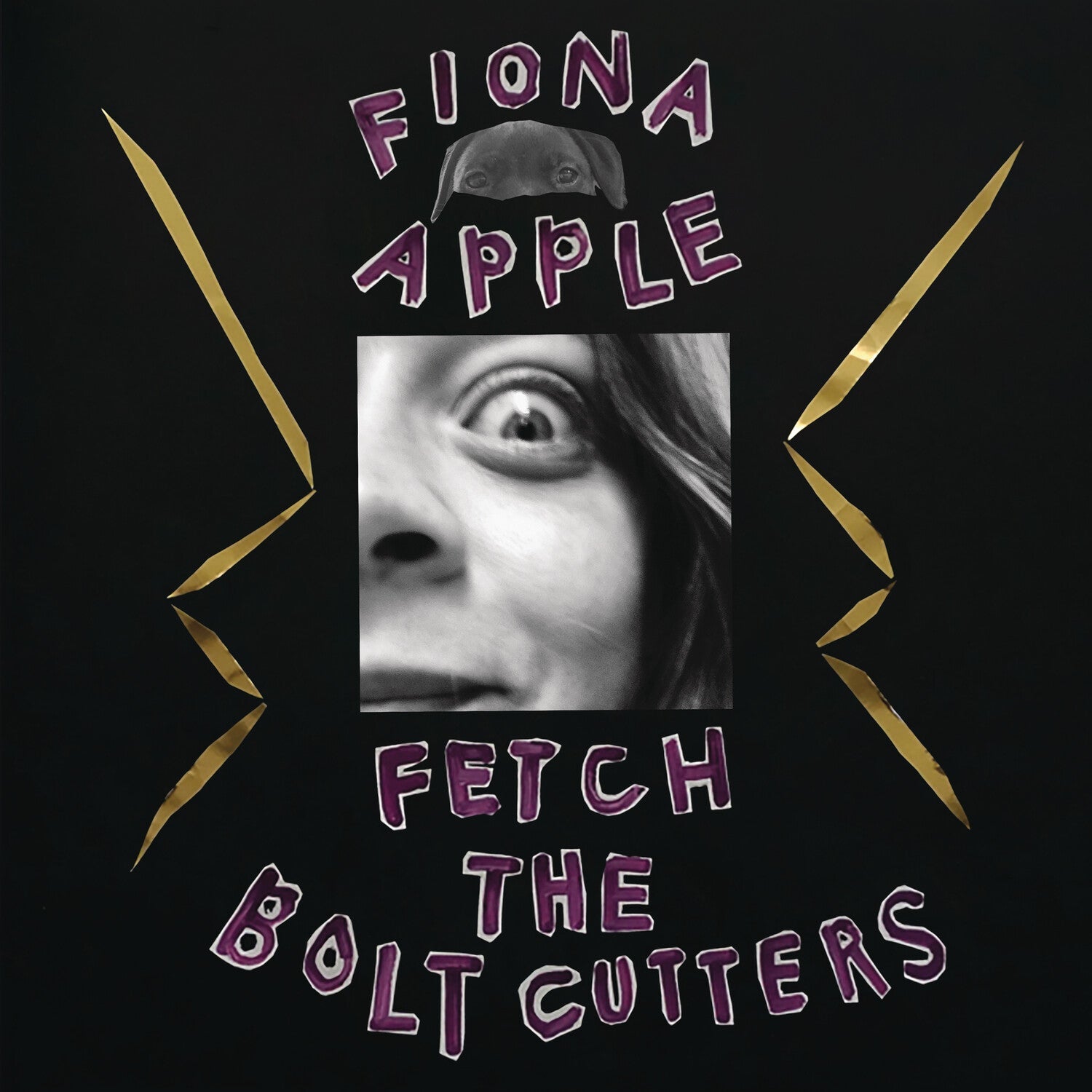 Fiona Apple - Fetch the Bolt Cutters 2xLP - LEVITATION